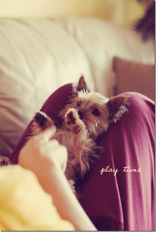 Oliver1