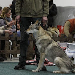 KV CSV 20130222_0993.jpg