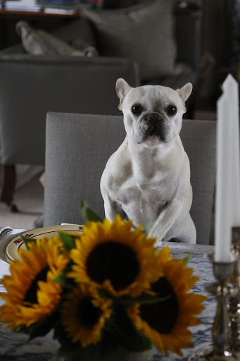 Oh hi Martha. Are Francesca and I invited to your brunch?
