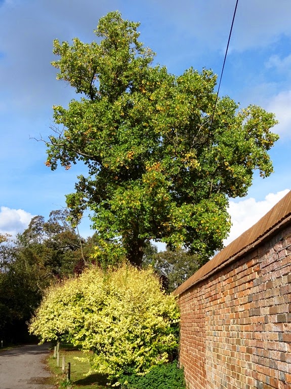 [DSC08758%2520%2528974x1300%2529%255B4%255D.jpg]