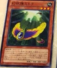 seed seed
