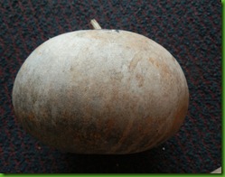 PA220567 PA220567