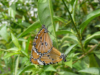 p1300354751(13).jpg
