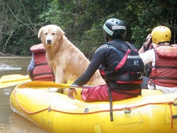 [Pet%2527s%25205%2520%2528210%2529%255B4%255D.jpg]