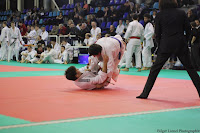 IMG_2499.jpg
