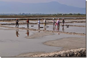 Cambodia Kampot Salt Fields 140101_0300