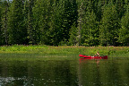 Canoeing along Missinaibi