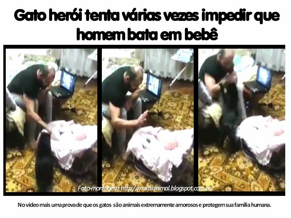 [Gato%2520her%25C3%25B3i%2520tenta%2520v%25C3%25A1rias%2520vezes%2520impedir%2520que%2520homem%255B3%255D.jpg]