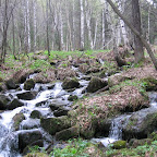 IMG_1912.jpg