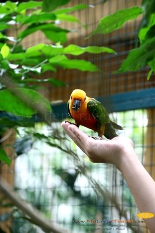 Langkawi Wildlife Park Langkawi Wildlife Park
