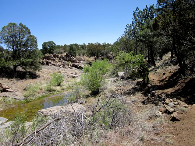 [IMG_0229%255B2%255D.jpg]