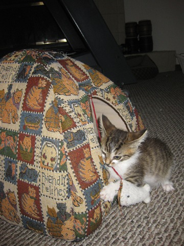 [IMG_3444%255B2%255D.jpg]