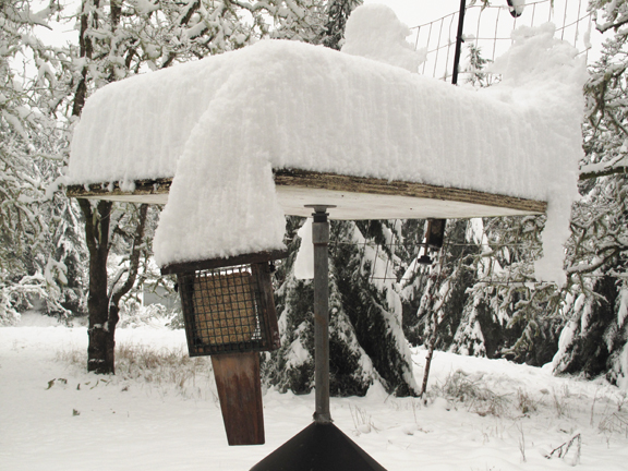 Snow3