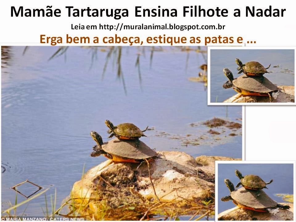 [Slide2%255B3%255D.jpg]