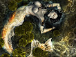 Fantasy Naked Mermaid