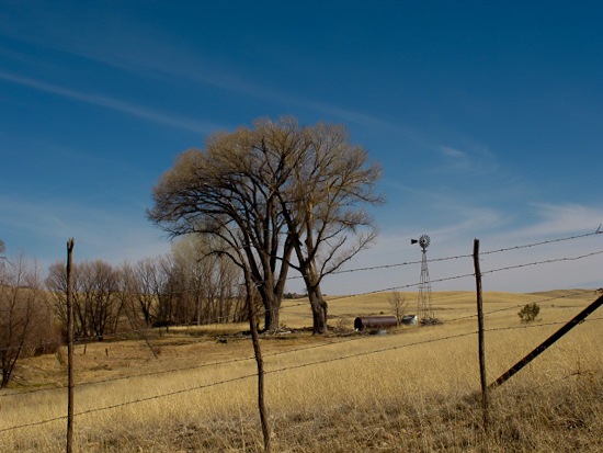 Mule Creek, NM