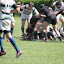 IMG_0952-20110520.JPG