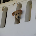 IMG_1164.JPG
