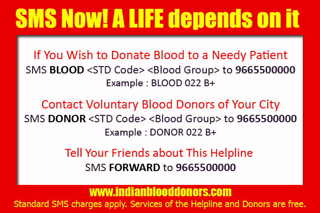 Why give blood essay image