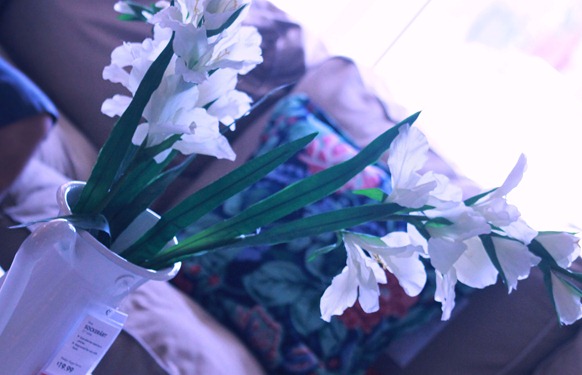 IMG_3605 IMG_3605