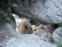 P1120109.JPG Photo