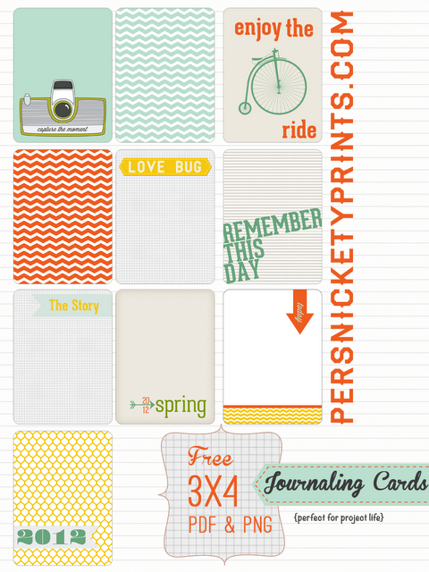 [projectlife%255B3%255D.png]