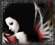 Dark Wings