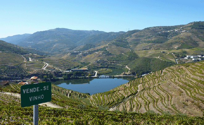 [douro-vinho-e-delicias%255B4%255D.gif]