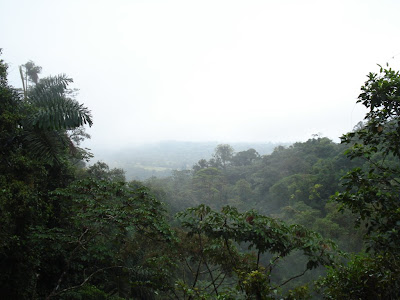 You might be getting an idea of how foggy and rainy it was that day.  Gustavo told us that people say there is a rainy season and a dry season in Costa Rica, but that in actuality, there is a rainy season and a less rainy season.  It is, after all, a rainforest!  Kinda like how Maine has winter and less winter.