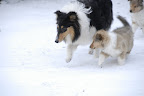 _DSC0024.JPG