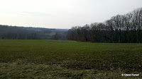 2011-03-17_17-52-30_490.jpg