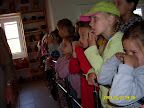 SDC10571.JPG