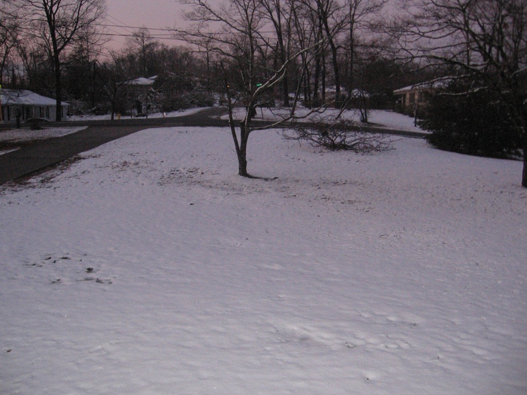 [IMG_3669%255B6%255D.jpg]