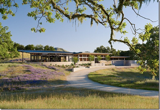 caterpillar house 4 caterpillar house 4