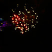 Florida 2008 418.JPG