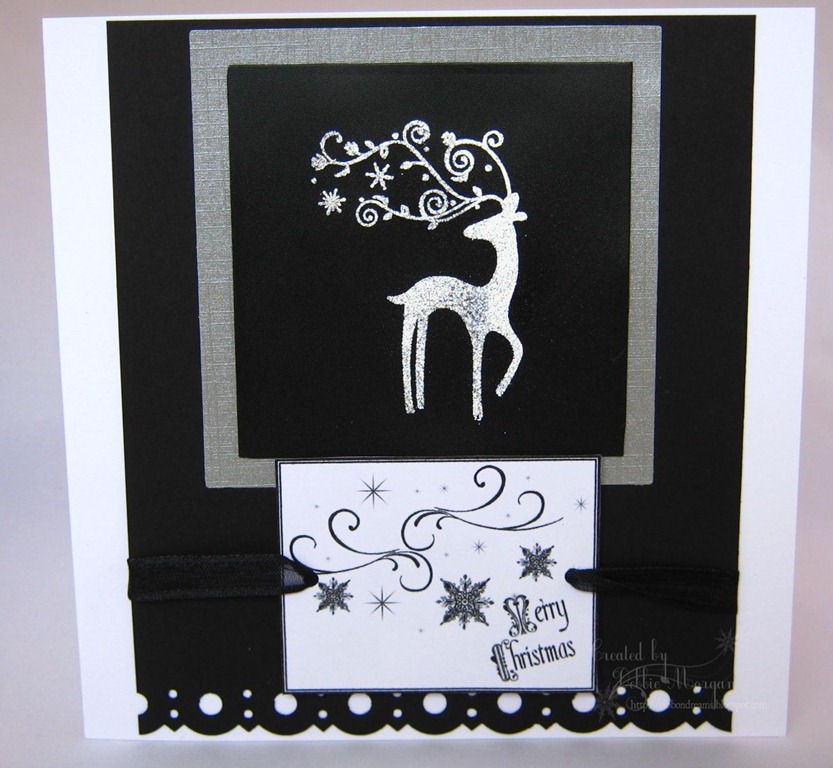 [IMG_2647b%255B5%255D.jpg]