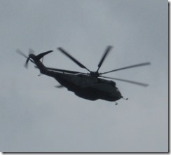 IMG_2550 IMG_2550