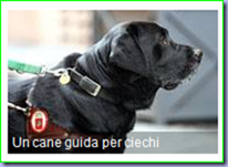Cattura Cattura