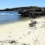 White Sand Beach of Mabel Cove - Rottnest Island, Australia