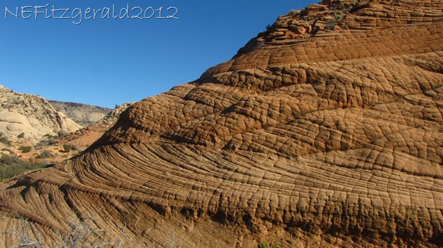 [IMG_0730ElephantSkinTextureNavajoSandstone%255B10%255D.jpg]