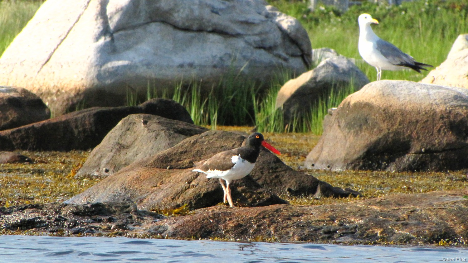 [Bluff%2520Point_064%255B3%255D.jpg]