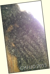 IMAG0320 IMAG0320