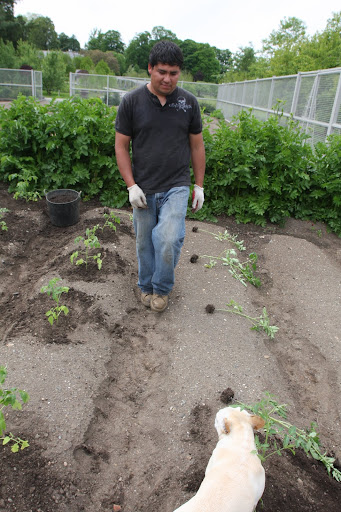 Wilmer - chill, dude!  Franny and I will plant the rest for you!