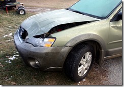 deer collision 05