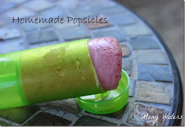 Many Waters Homemade Popsicles