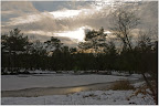 Wintereinbruch im Moor bei Niedersandhausen