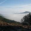 P2150033.JPG