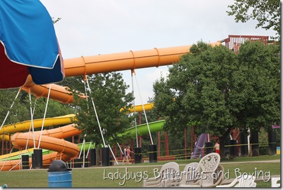 IMG_0984 IMG_0984