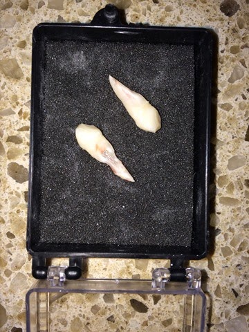 [IMG_1508%255B3%255D.jpg]