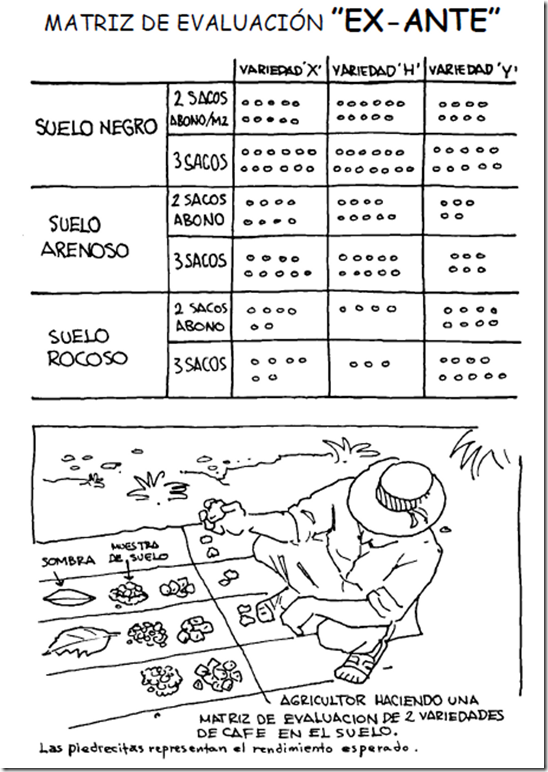 Ejemplo de matriz ex ante